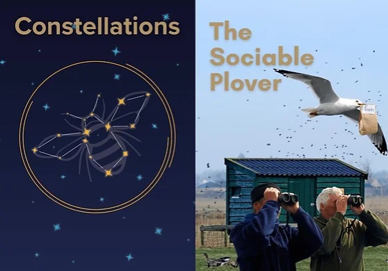 Constellations & The Sociable Plover – Frinton Summer Theatre