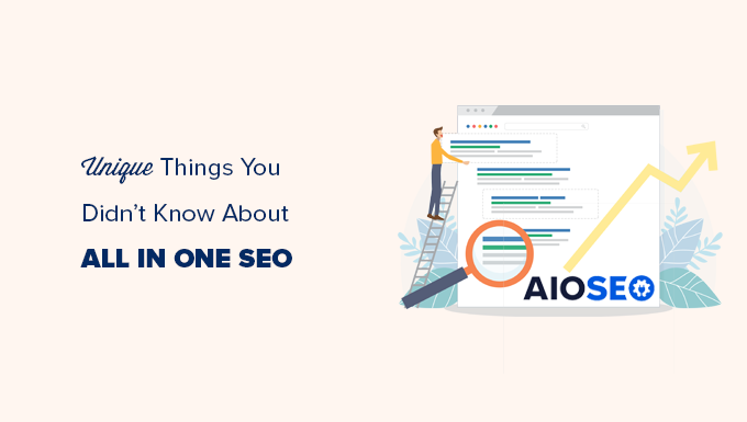 36 Unique Things You Didn’t Know About All in One SEO (Pro Tips)