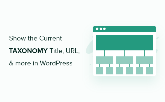 How to Show the Current Taxonomy Title, URL, & More in WordPress